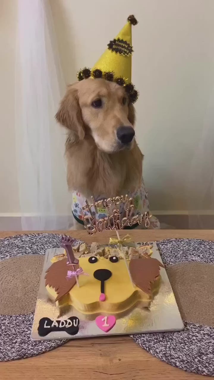 golden retriever birthday cake meme