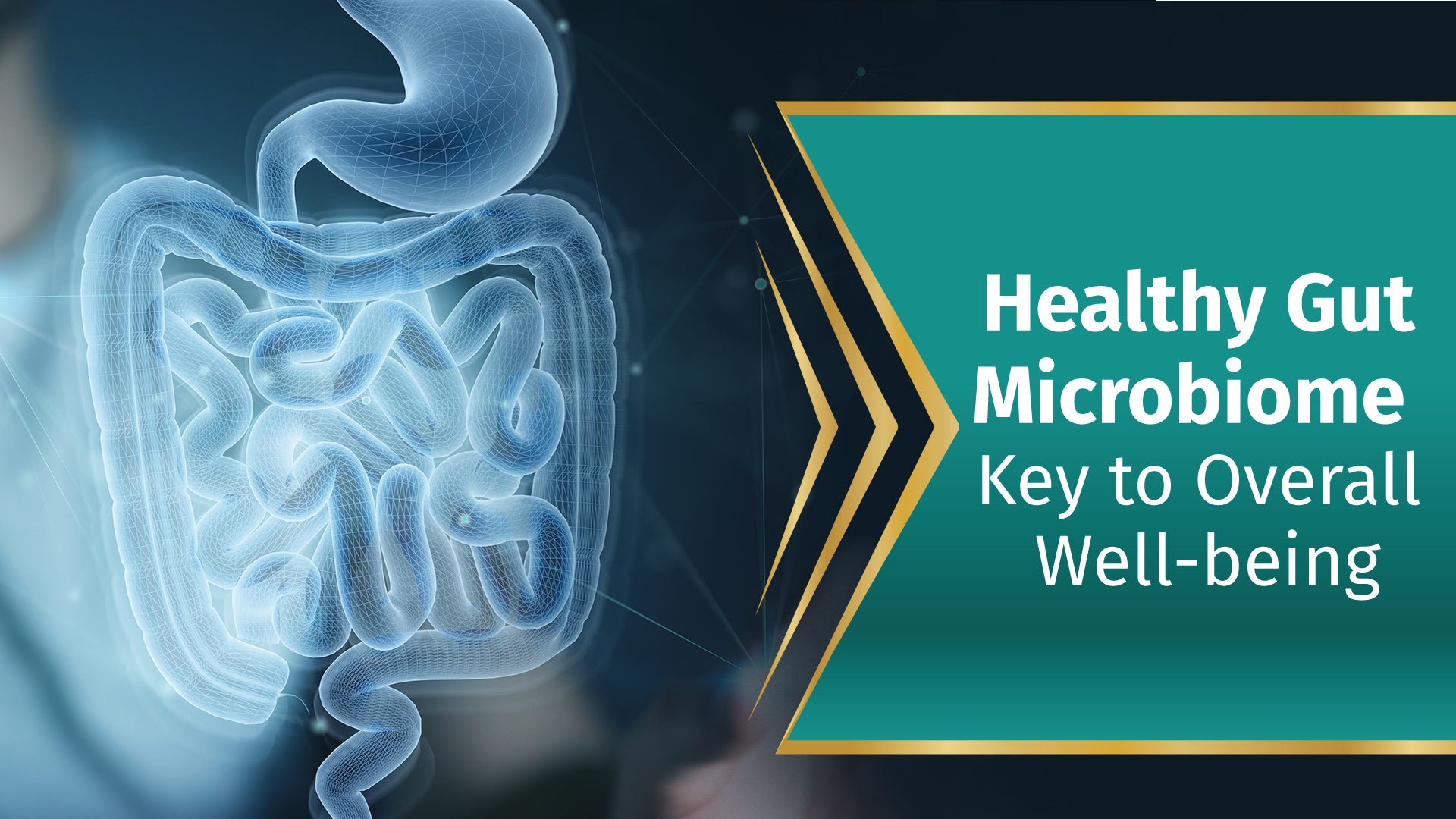 Healthy Gut Microbiome – Key to Overall Well-being