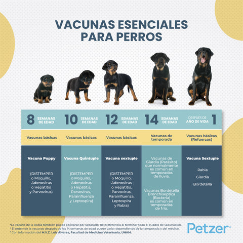 Vacunas calendario