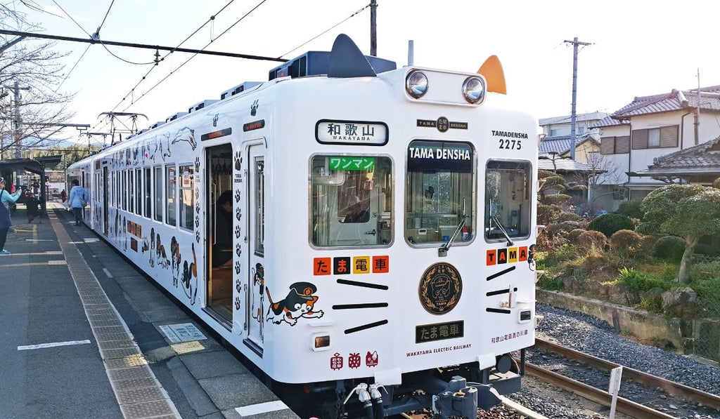 gatti-giappone-tenoha-treno