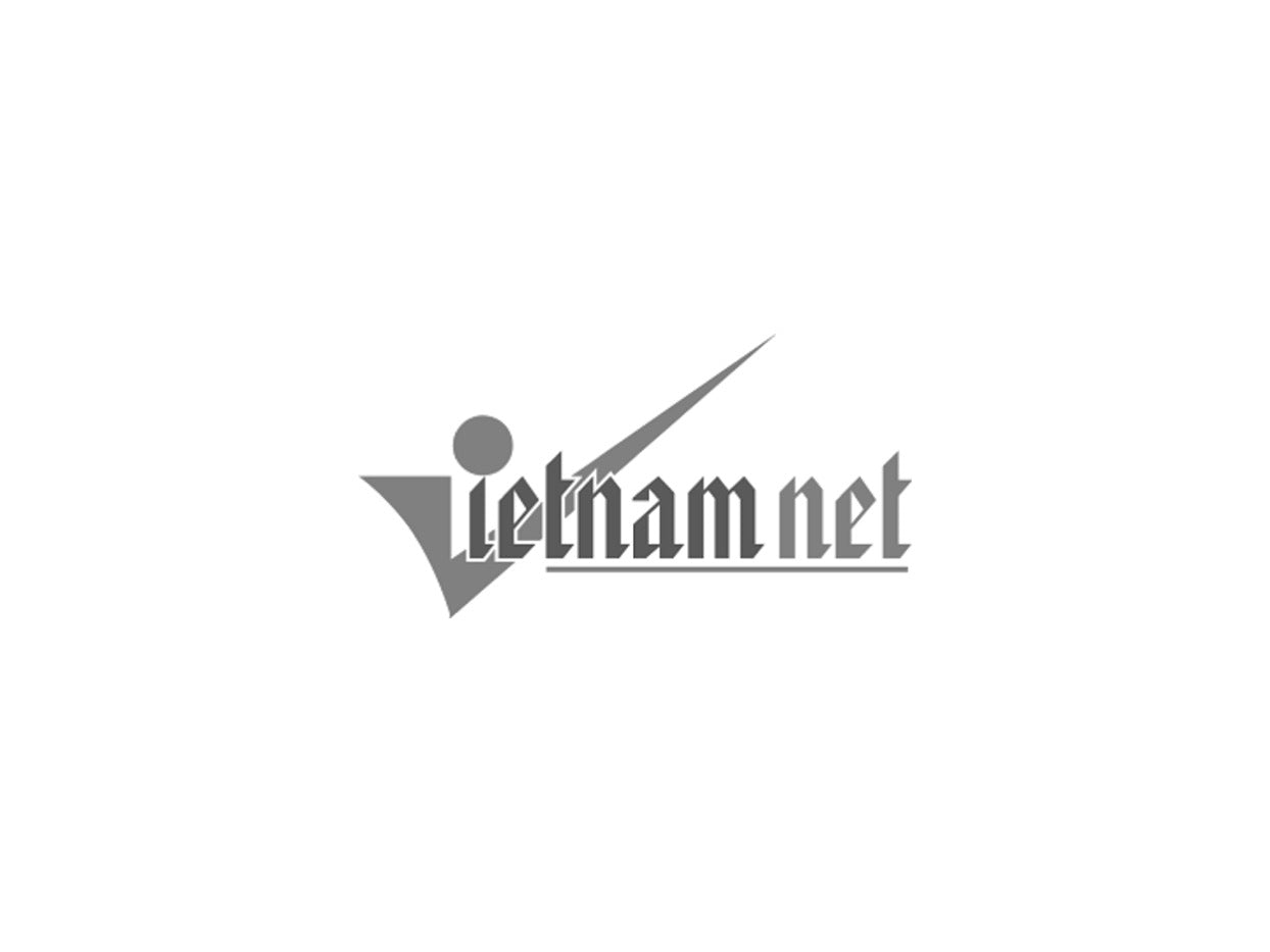 Vietnam.net logo