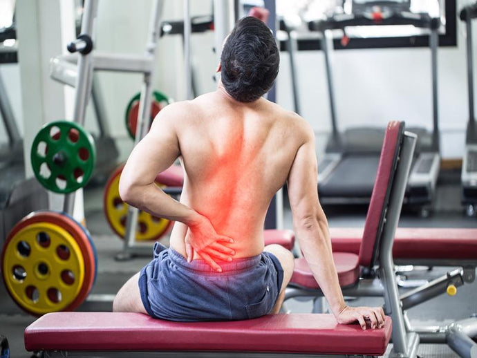 Back Pain Organs Cause Lower Back Pain Purelife Organics 345x345@2x ?v=1619464221