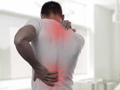 muscle pain_does cbd help sore muscles_purelife organics