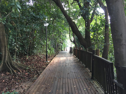 Changi-boardwalk-hike-20