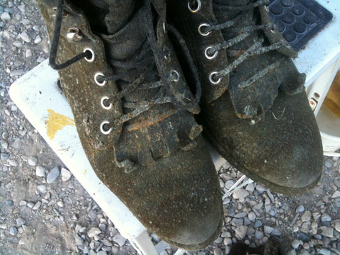 Moldy Shoes
