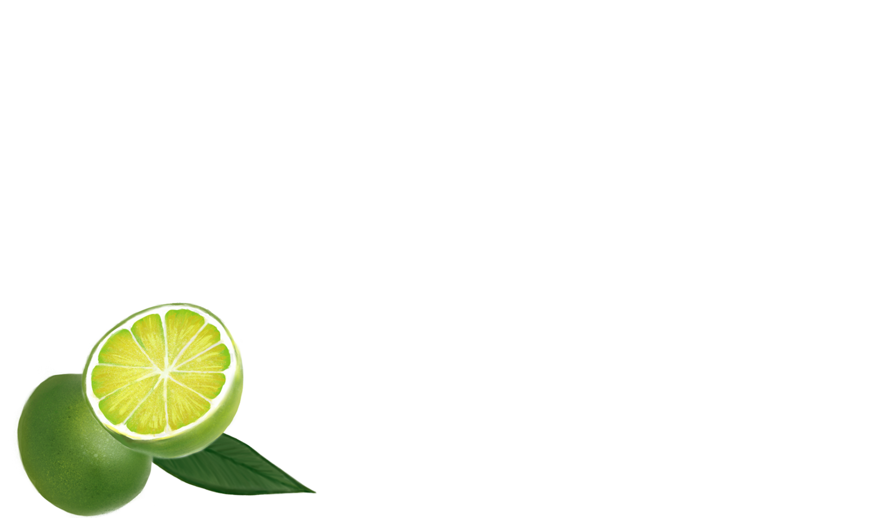 Key West Key Lime Pie Company Award Winning Key Lime Pie