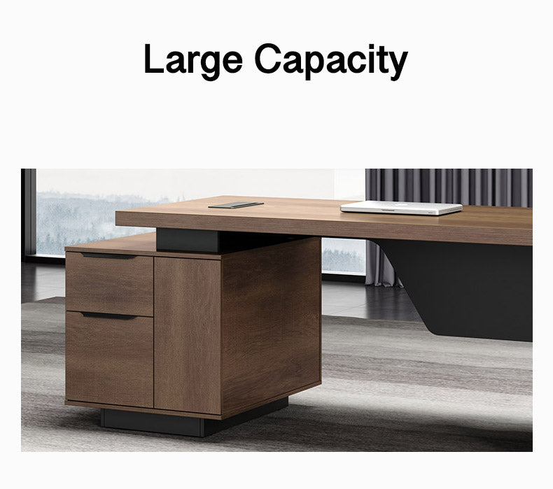 Dreasytech office desk Large Capacity