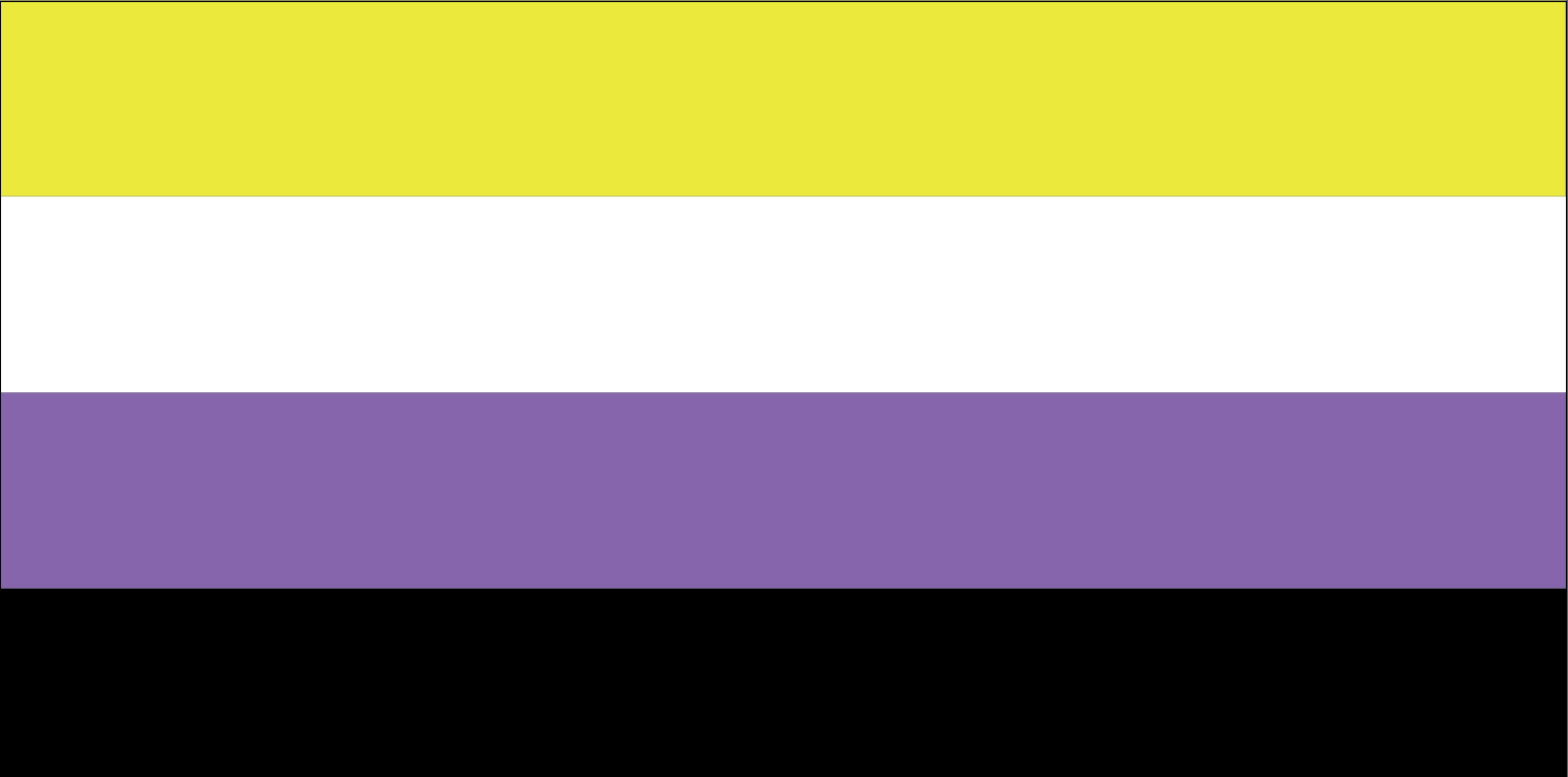Buy Nonbinary Pride Flag Online Flagmart Canada
