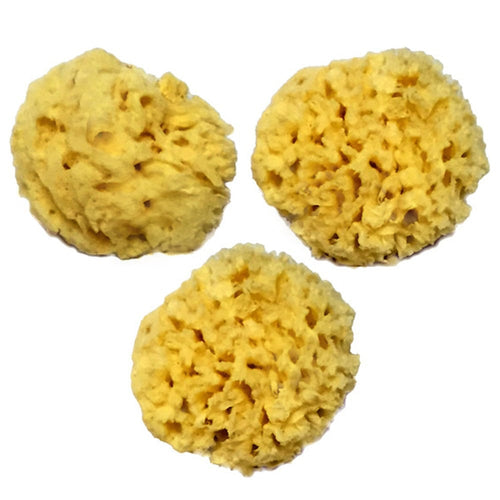 NATURAL YELLOW SEA SPONGE 4-5″ “NATURAL RENEWABLE RESOURCE” – Spa  Destinations