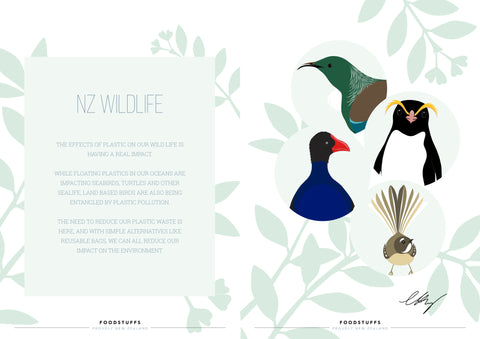 New Zealand birdlife, designs by Hansby Design, New Zealand