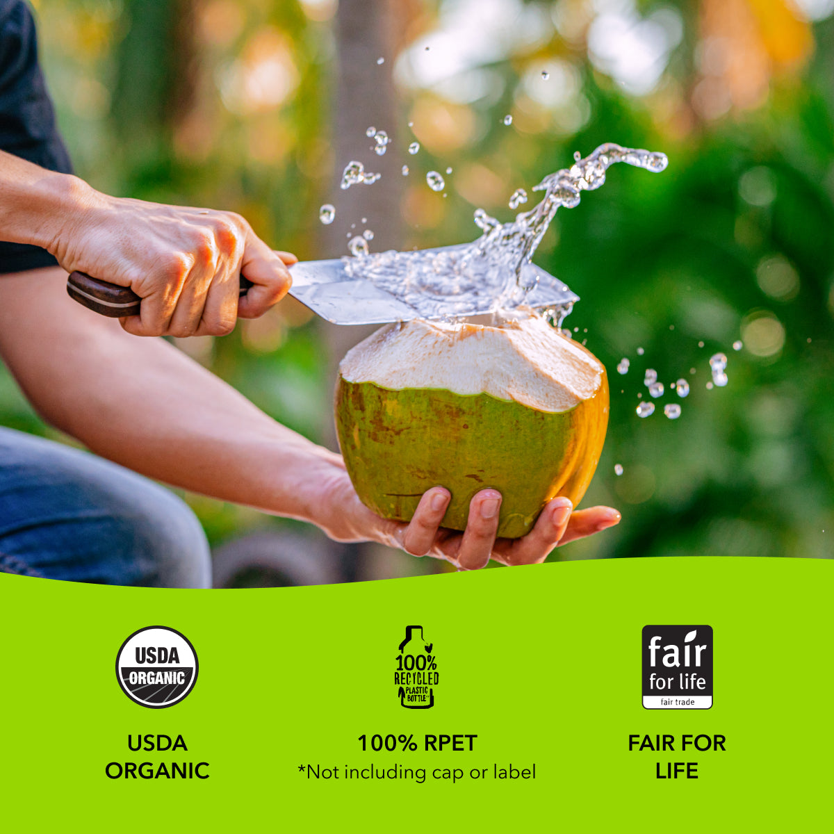 https://cdn.shopify.com/s/files/1/0417/4764/4577/files/5_-_Coconut_Water_Pink_Lady_Apple_Sustainability.jpg?v=1696486679