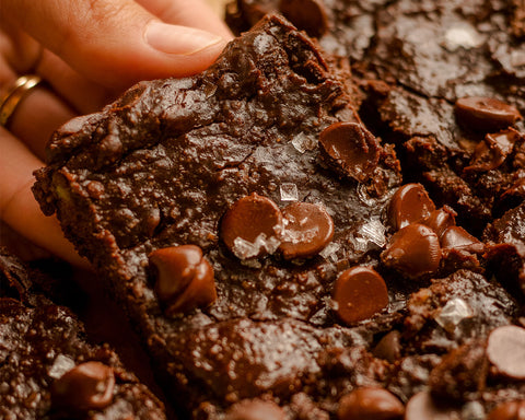 Harmless Harvest fudgy avocado brownies close up