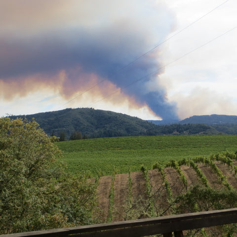 Plume of smoke rising from the distant hillside.