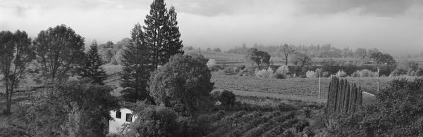Panorama of Frick Winery in Dry Creek Valley