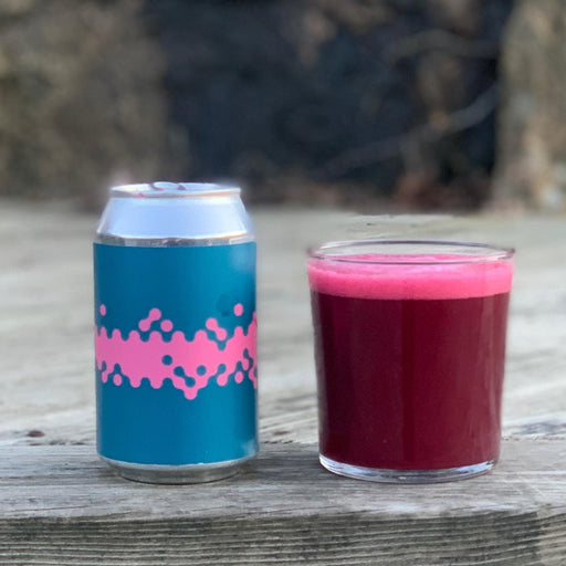 Duckpond Moonbag Fruited Gose - Outro Lado