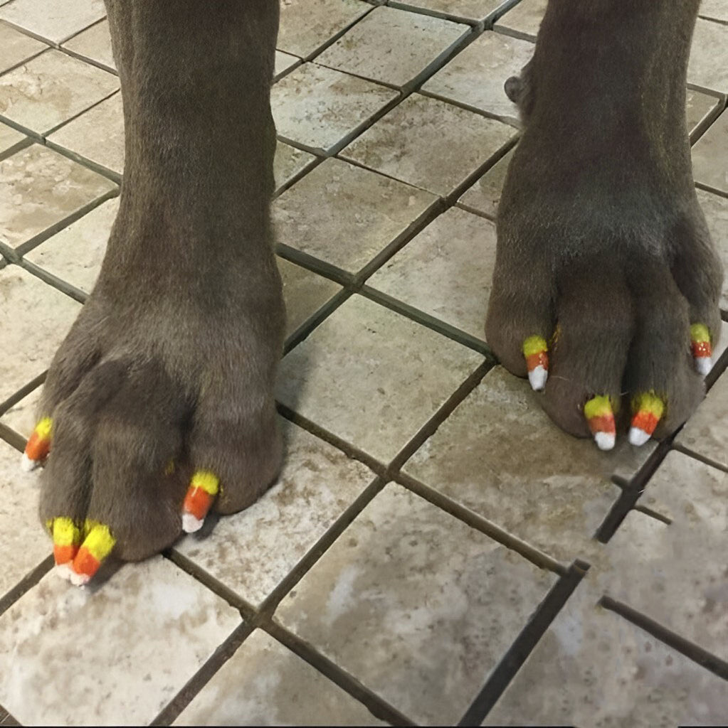 Candy Corn Nails for Your Pets