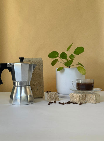 coffee and plants on textured background