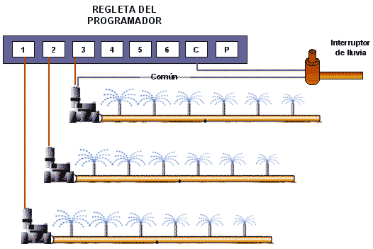 instalación de riego automático