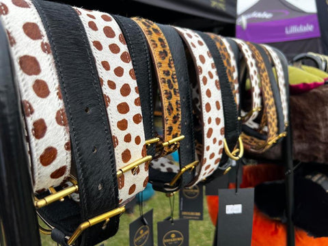 SNUGBUMS new premium collars at chatsworth country fair