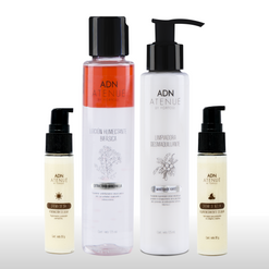 Atenue kit@2x.png__PID:2949c3ba-f129-4997-80ae-24060149dcec