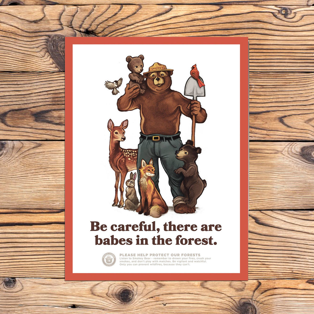 Smokey The Bear Drawing HD Png Download  vhv