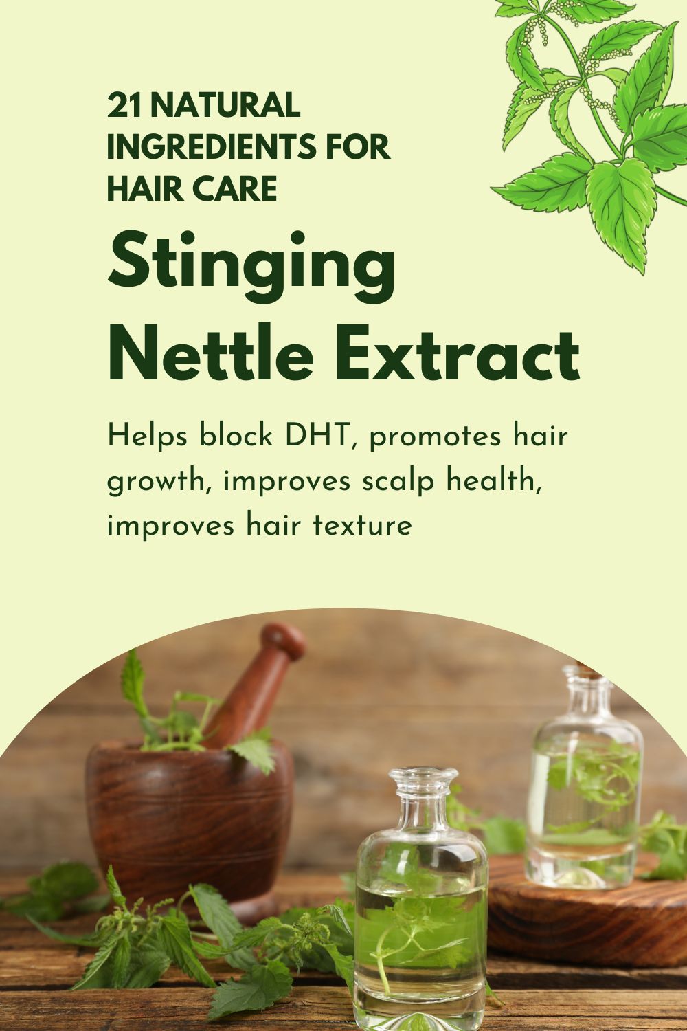 Stinging Nettle Extract - Help block DHT, promotes hair growth, improves scalp health, improves hair texture