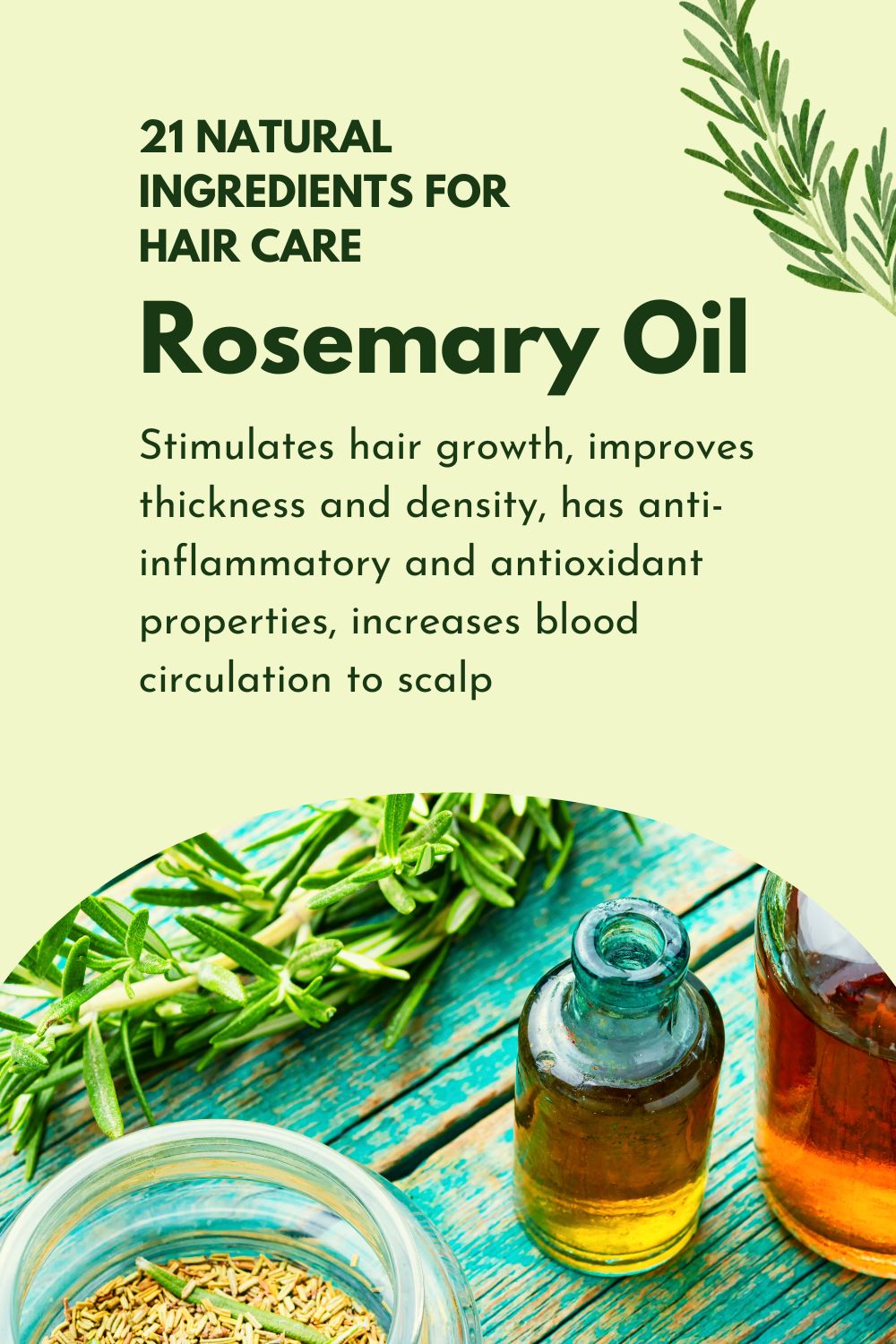 Rosemary Oil - Stimulates hair growth, improves thickness and density, has anti-inflammatory and antioxidant properties, increases blood circulation to scalp