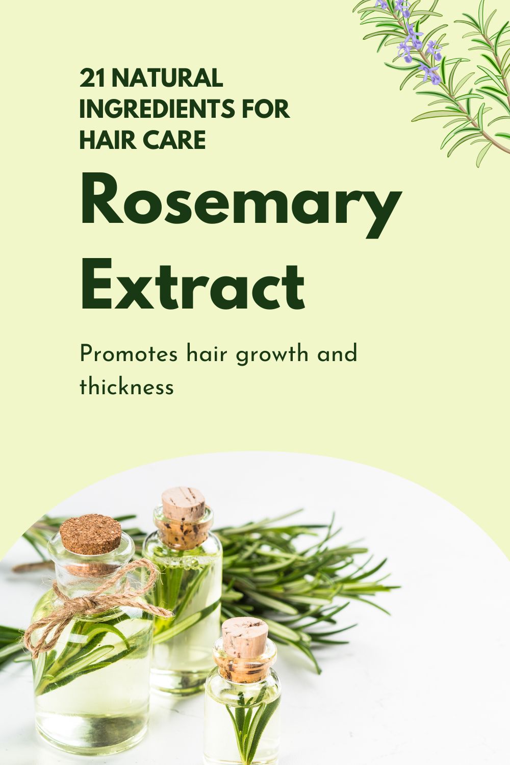 Rosemary Extract - Promotes hair growth and thickness