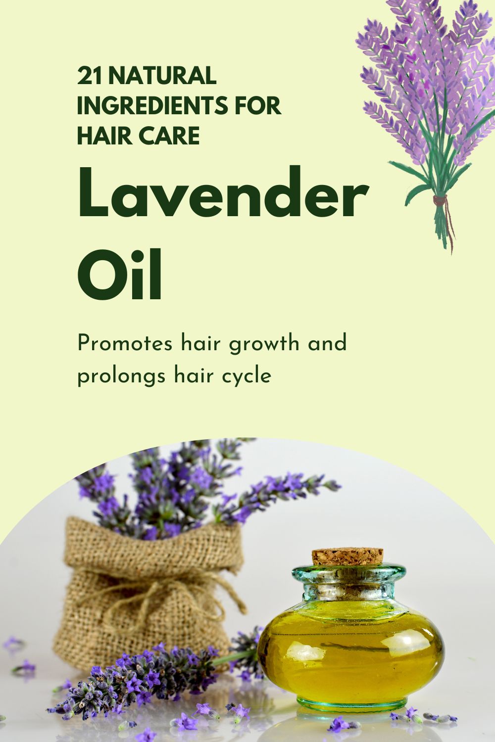 Lavender Oil - Promotes hair growth and prolongs hair cycle