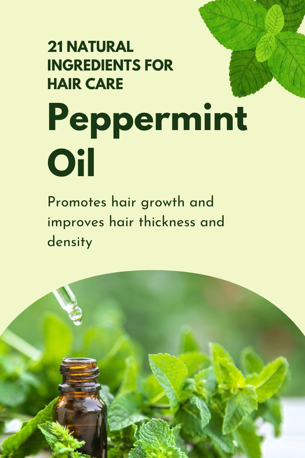 Peppermint Oil - Promotes hair growth and improves hair thickness and density