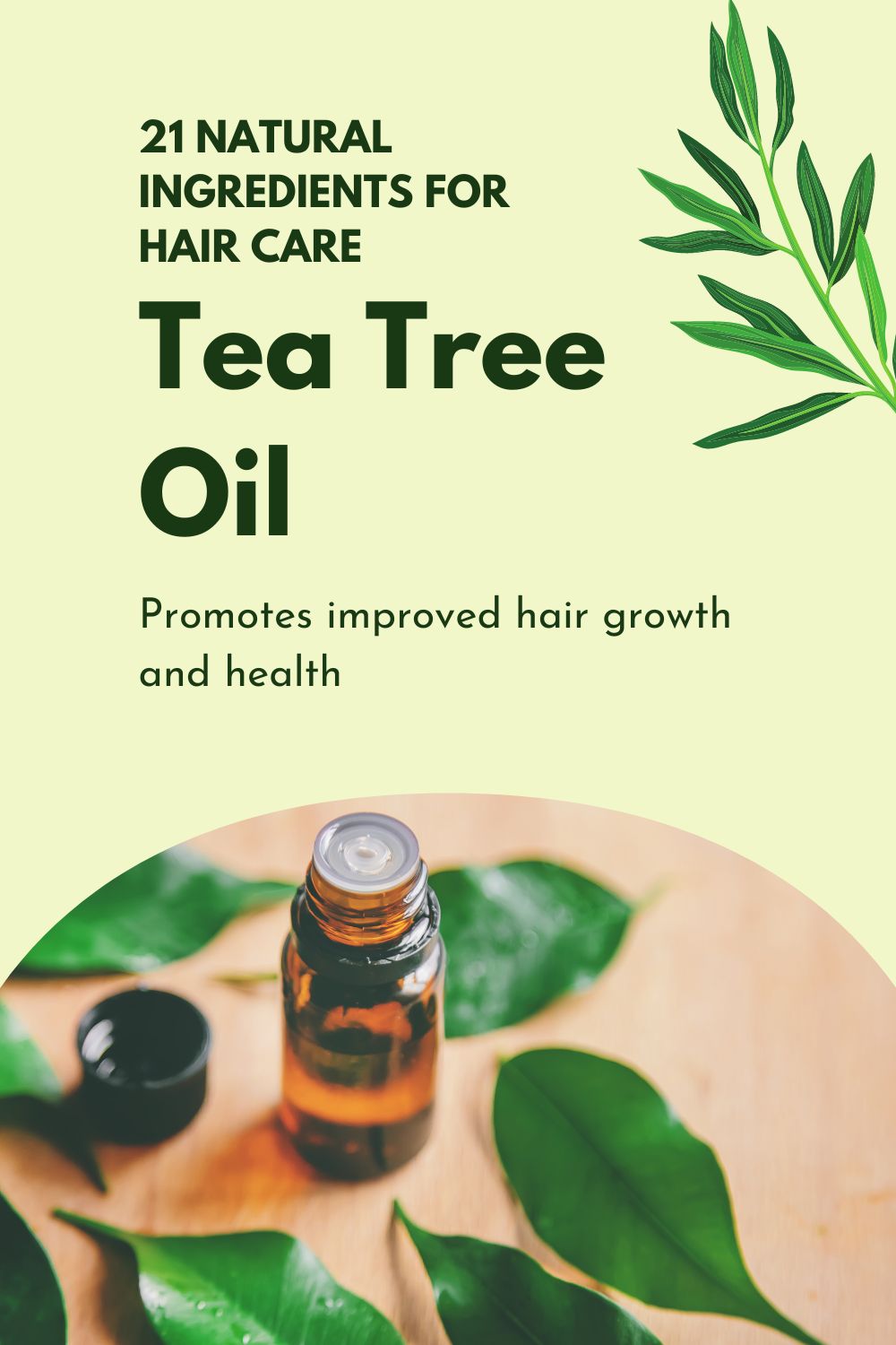 Tea Tree Oil - Promotes improved hair growth and health