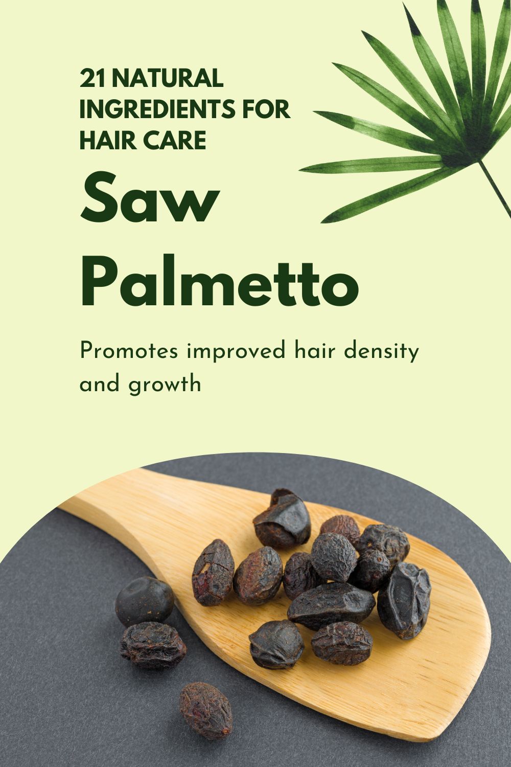 Saw Palmetto - Promotes improved hair density and growth