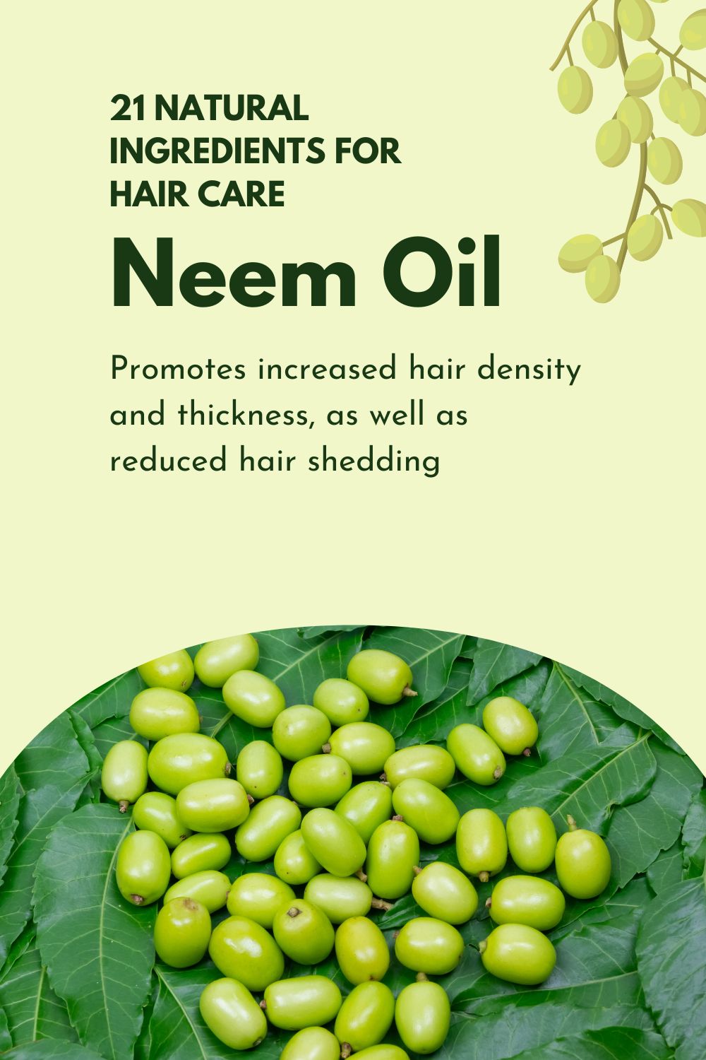 Neem Oil - Promotes increase hair density and thickness, as well as reduced hair shedding