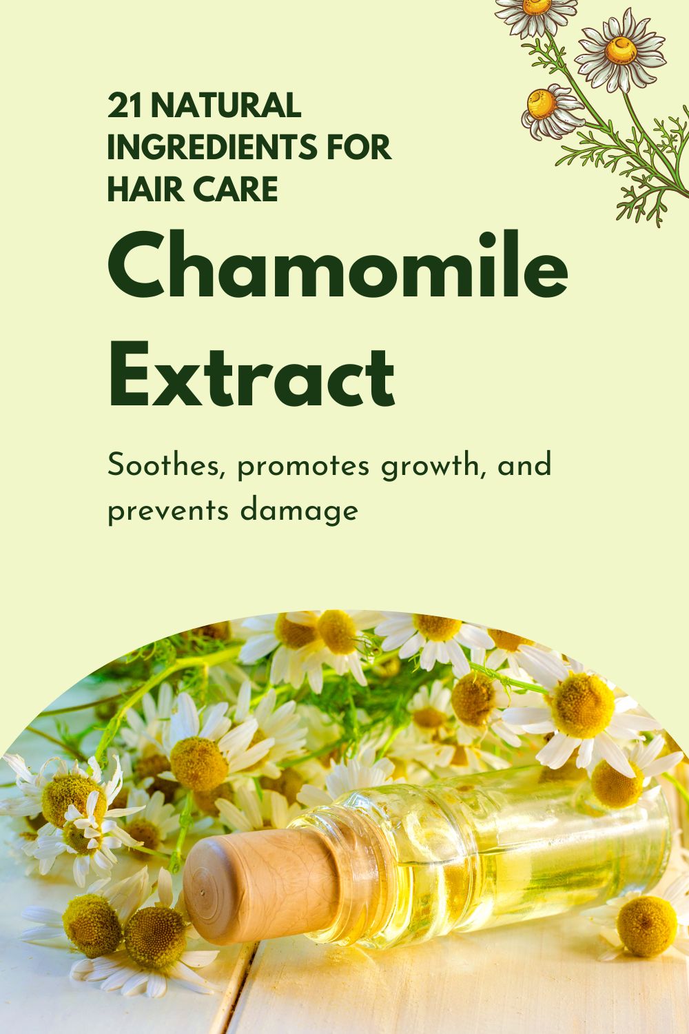 Chamomile Extract - Soothes, promotes growth, and prevents damage