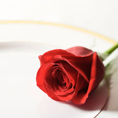 red rose on a plate