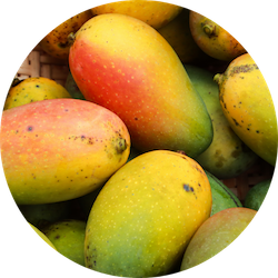 Africanmango.png__PID:7dcdf19b-c501-4eda-98f2-2b22490634ff