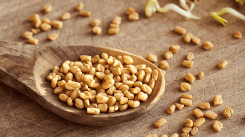 fenugreek menopause