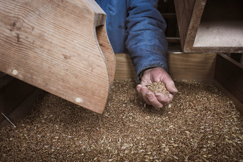 Male hand holds grain as it is being milled