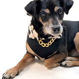 miki dog model for fashion bandana