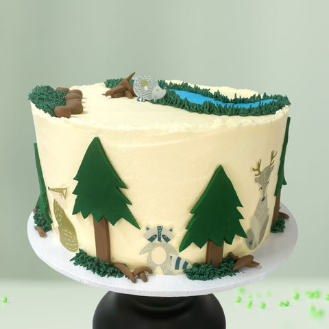 Woodland Camping DIY Cake Kit Birthday Party