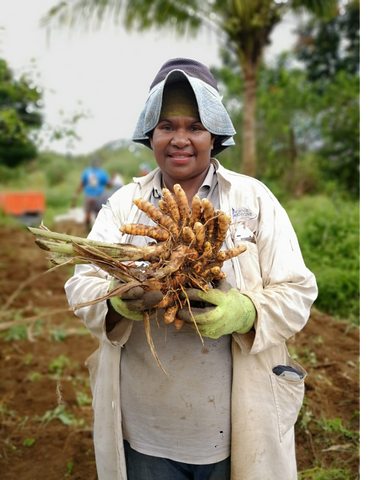 fijian turmeric