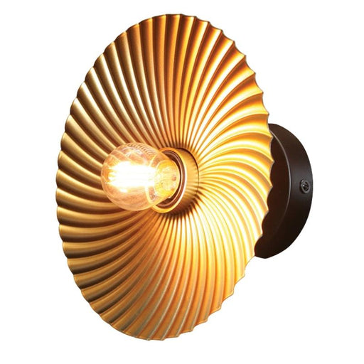 shell wall lamp