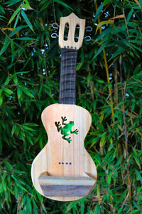 Green Frog ukulele planter