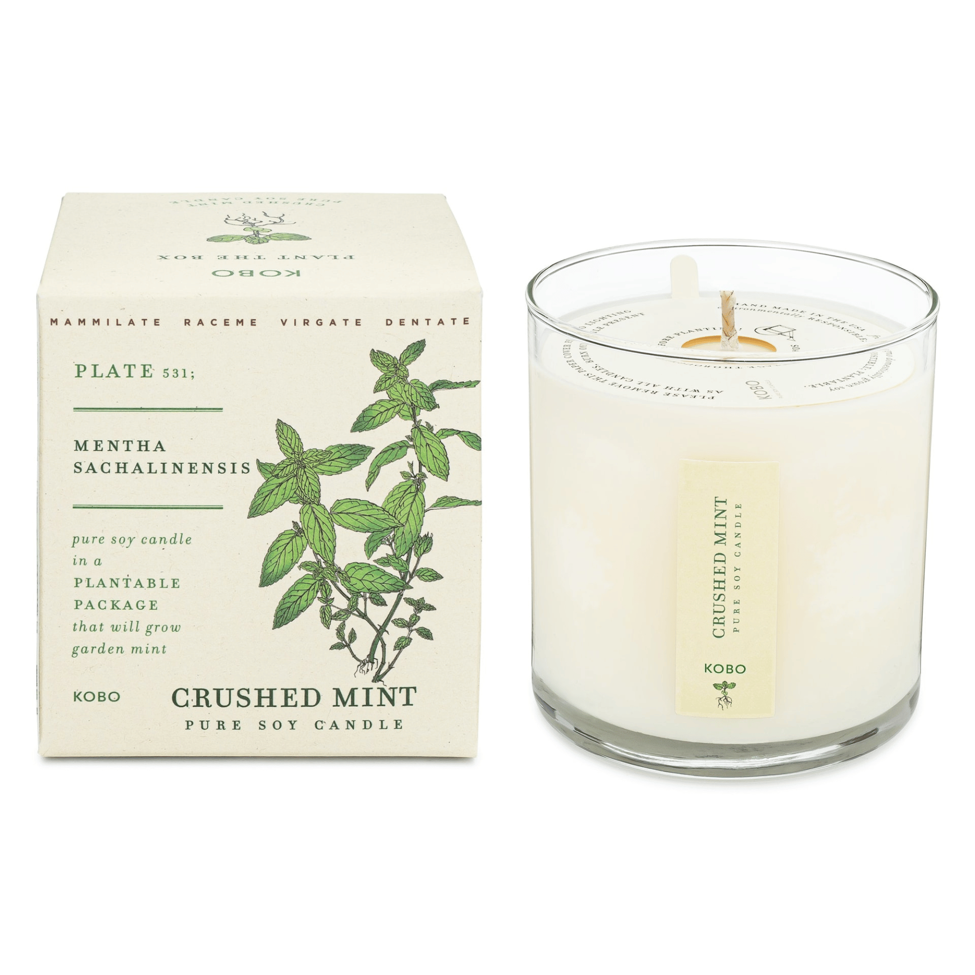 KOBO Crushed Mint Plant the Box Candle (9 oz) #10070596 photo