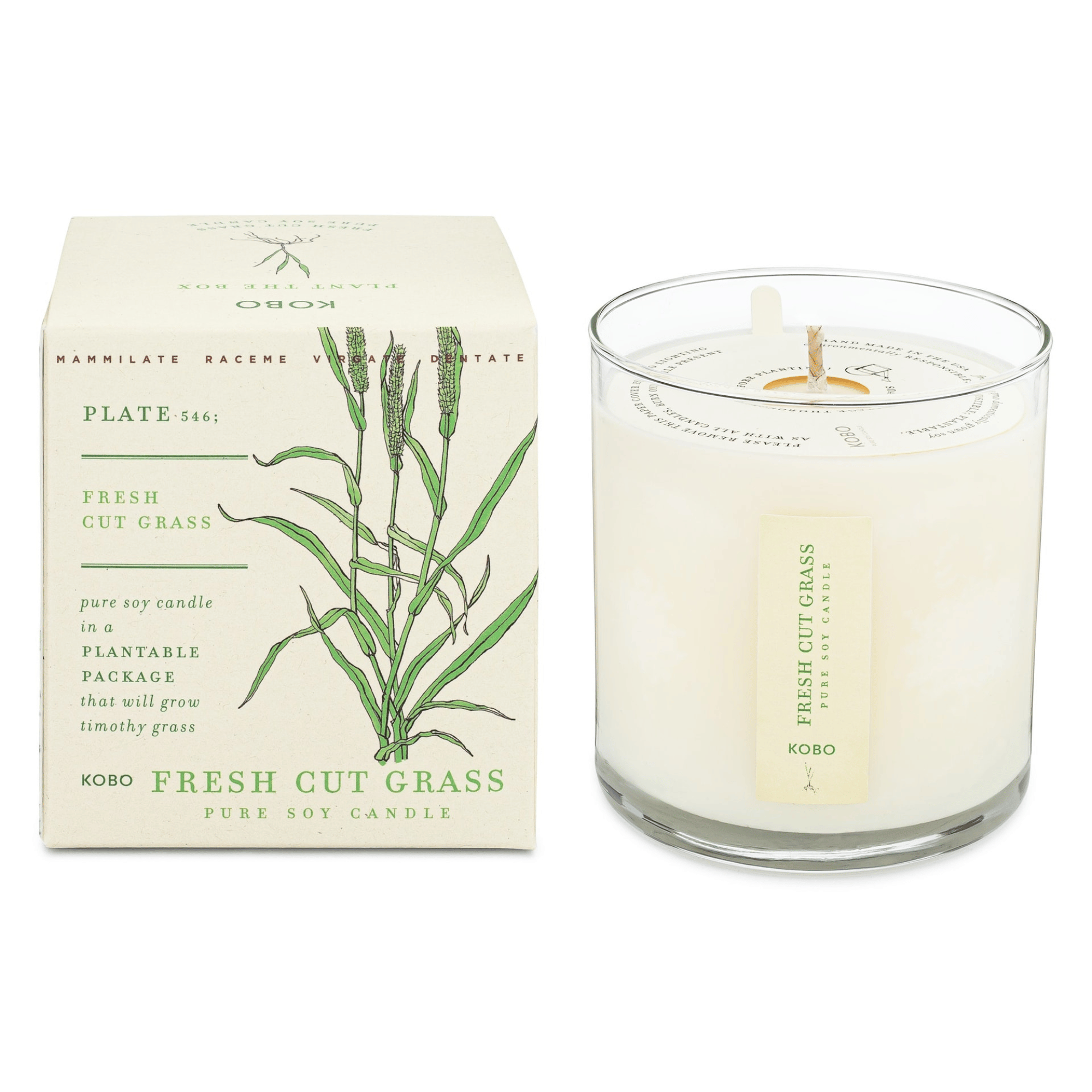 KOBO Fresh Cut Grass Plant the Box Candle (9 oz) #10068952 photo