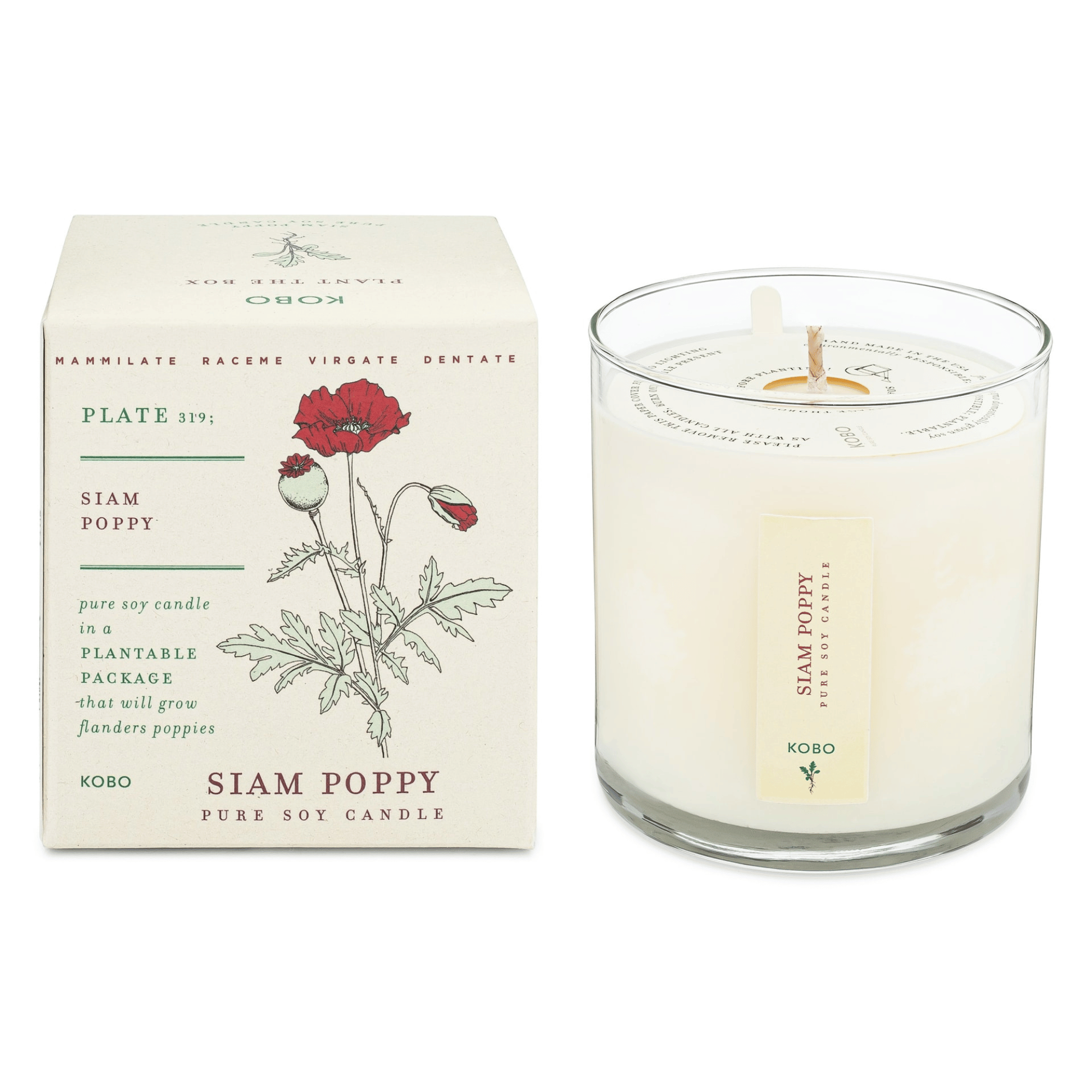 KOBO Siam Poppy Plant the Box Candle (9 oz) #10068951 photo