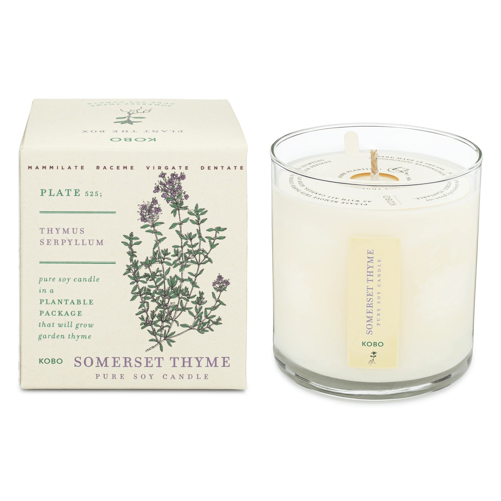 KOBO Somerset Thyme Plant the Box Candle (9 oz) #10068953 photo