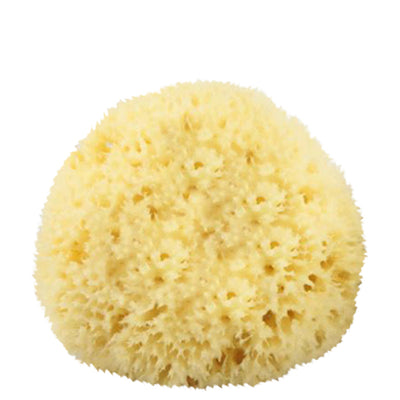 Kingsley Flex Handle Sponge Bath Brush