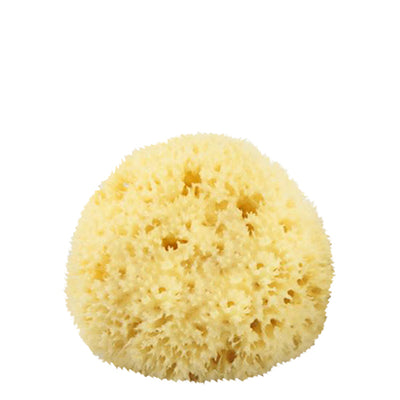 Baudelaire Large Sea Bath Sponge