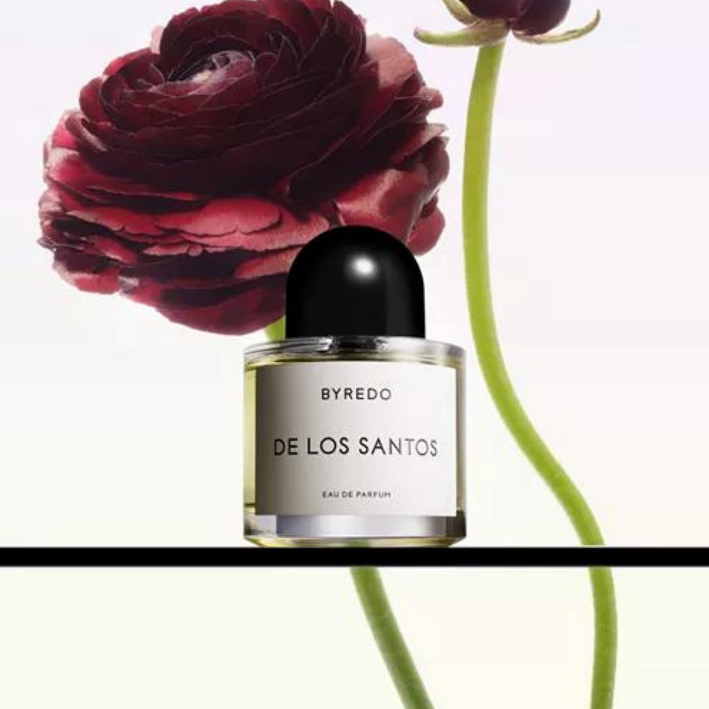 BYREDO バイレード デ ロス サントス 香水-